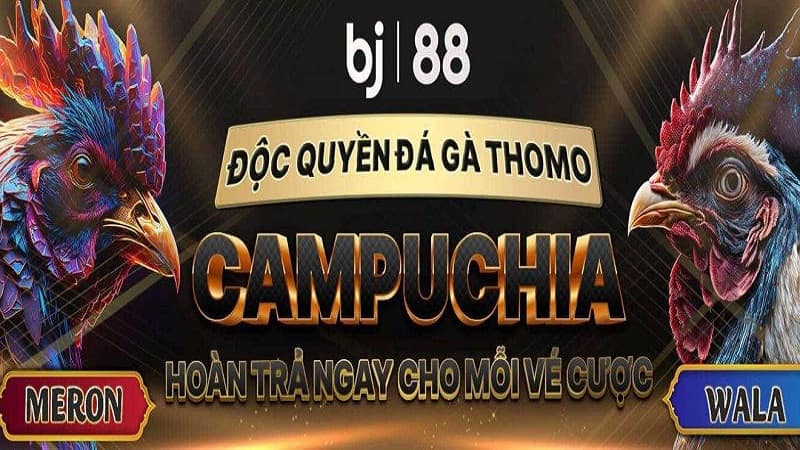 Tìm hiểu về sân chơi giải trí trực tuyến BJ88